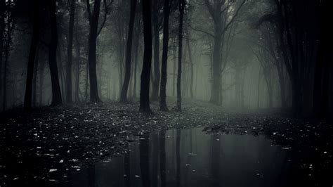 🔥 Free download Dark Woods Wallpapers HD Pictures Live HD Wallpaper HQ [3840x2160] for your ...