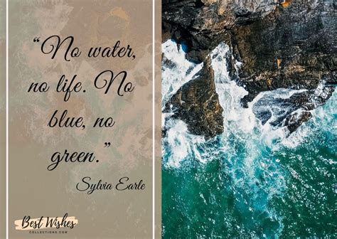 35+ World Ocean Day Quotes, Wishes & Inspiring Messages