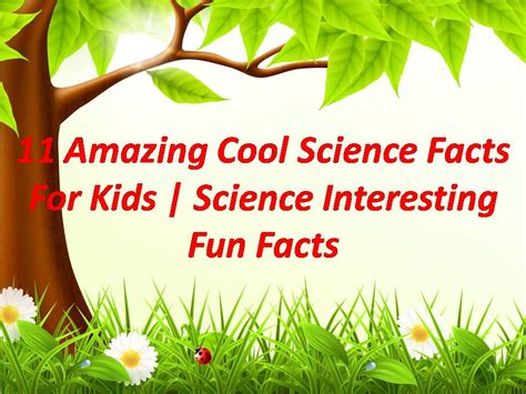 11 Amazing Cool Science Facts For Kids | Science Interesting Fun Facts-Universal Links Latest ...