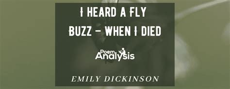 I heard a Fly buzz - when I died - Poem Analysis