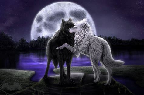 Wolf Dreamcatcher Wallpapers - Top Free Wolf Dreamcatcher Backgrounds - WallpaperAccess