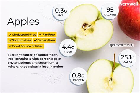 1 Large Granny Smith Apple Nutrition Facts – Runners High Nutrition