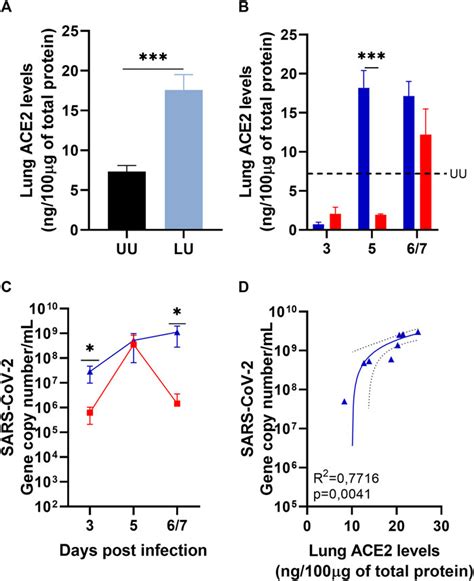 Frontiers | Lisinopril increases lung ACE2 levels and SARS-CoV-2 viral ...