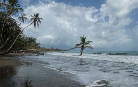 Cahuita - 1 great spots for photography