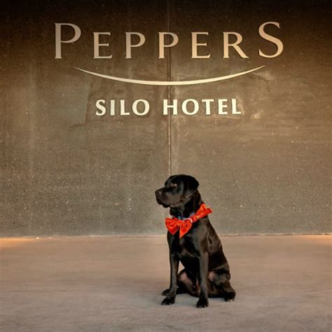 Peppers Silo Hotel opens its doors in Launceston, Australia - Insights