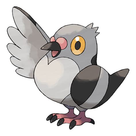 Pidove | Pokédex