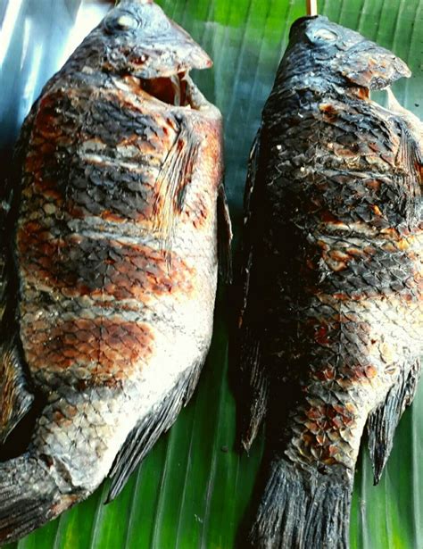 Inihaw na Tilapia | Pangasinan, Food culture, Philippine