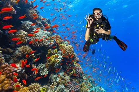 The Best Places to Dive in Costa Rica: main ecotourism destinations