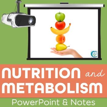 Nutrition and Metabolism PowerPoint and Notes by Science Island | TpT