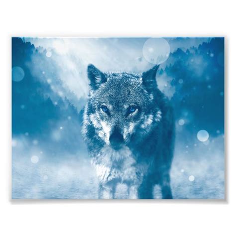 Blue eyed wolf photo print | Zazzle | Landschap, Wolf, Foto