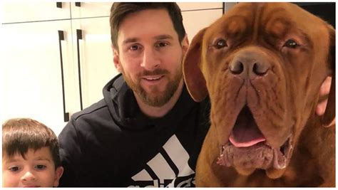 Which breed's dog does Lionel Messi own?