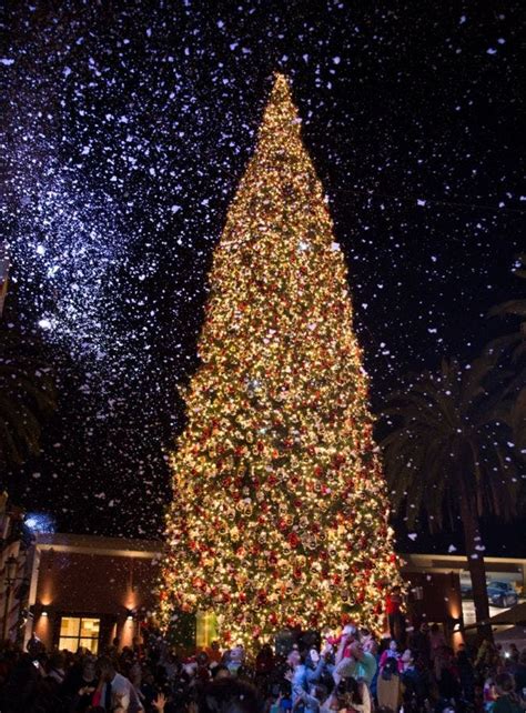 Newport Beach's Fashion Island Christmas Tree Lighting Goes Old School | Newport Beach, CA Patch