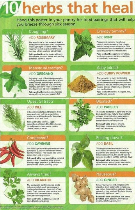 healing herbs | Healing herbs, Herbs, Herbs for health