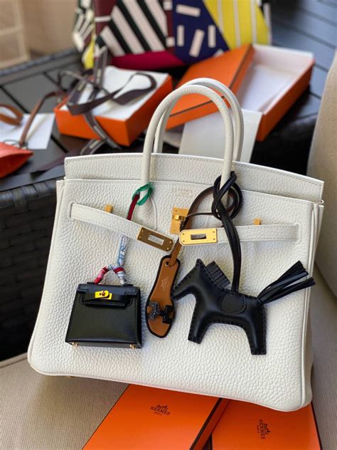 A Complete Guide to Hermès Rodeo Bag Charm - PurseBop