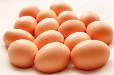 Brown hens Eggs in a group stock photo. Image of isolated - 46379650