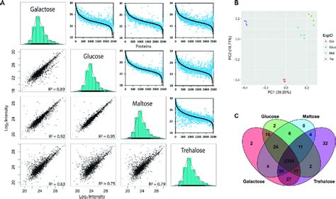 Overview of protein mass spectrometry results. (A) Panels in the lower ...