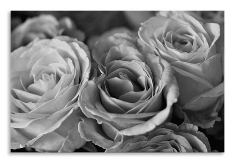 Now available http://thousandface.myshopify.com/products/rose-canvas-black-white-floral-flower ...