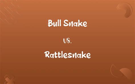 Bull Snake vs. Rattlesnake: Know the Difference