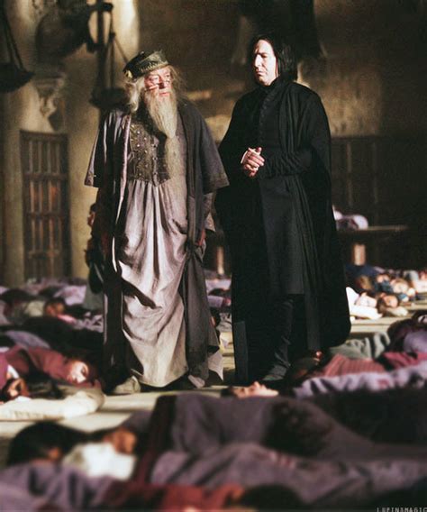 Dumbledore and Snape - Harry Potter Photo (36748241) - Fanpop