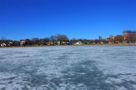 View from the lake in Madison, Wisconsin image - Free stock photo ...