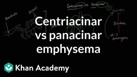 Centriacinar emphysema vs panacinar emphysema | NCLEX-RN | Khan Academy ...