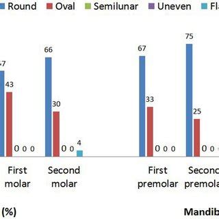 Distribution of location of the apical foramen in maxillary and... | Download Scientific Diagram