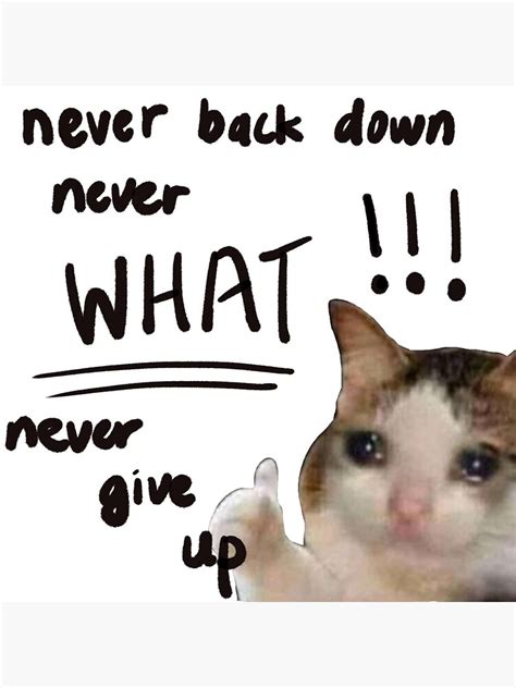 "Never Back Down, Never What? Never Give up meme" Sticker for Sale by zareefrj | Redbubble