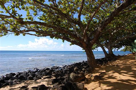 Puu Poa Beach, Kauai | To-Hawaii.com