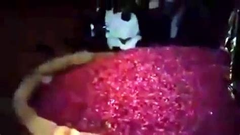 Mumtaz Qadri Grave at night 3AM Leaked Video - video Dailymotion