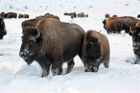 20 Best Hikes In Grand Teton National Park Under 10 Miles Red Around the World