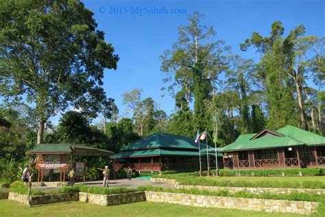 Orangutan of Borneo (Sepilok Orangutan Rehabilitation Center) | MySabah.com