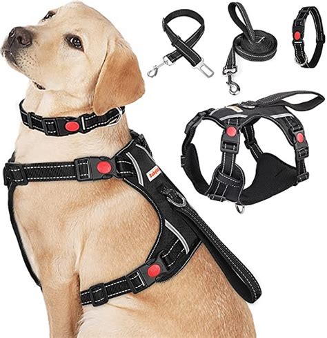 7 Best Dog Harness For Running - (Reviews 2023)