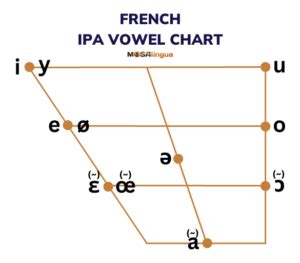 What Is an IPA Symbol? The Key to Pronunciation Superpowers