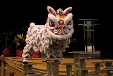 Lion dance competition editorial photography. Image of category - 11891752