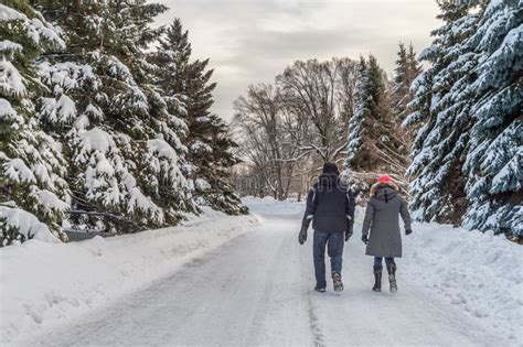 Winter Snowy Landscape In Montreal Editorial Image - Image of montreal ...