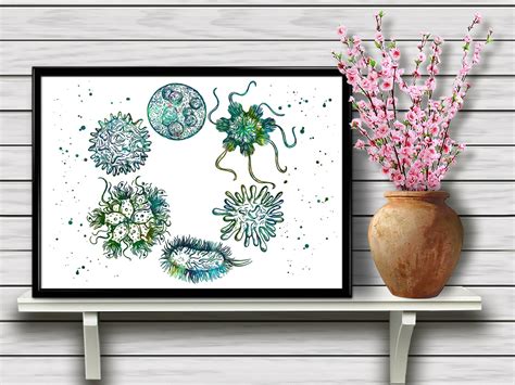 Microbes and Viruses Microbiology Medical Art Colorful | Etsy