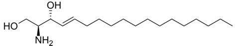 Sphingolipids - Chemistry LibreTexts