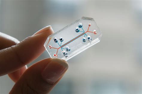 Scaling Down to Go Big: An Overview of the Lab-on-a-Chip - Biotium