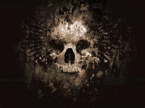 Hacker Skull Wallpapers - Top Free Hacker Skull Backgrounds ...