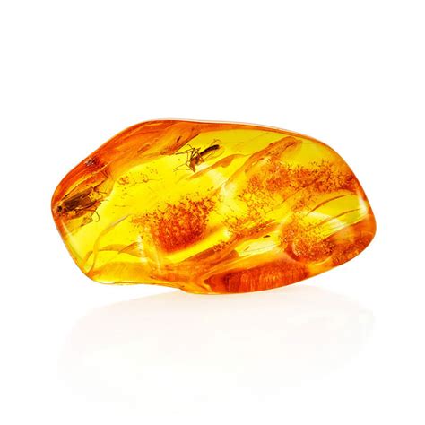 Mosquito Amber for sale | Only 4 left at -75%