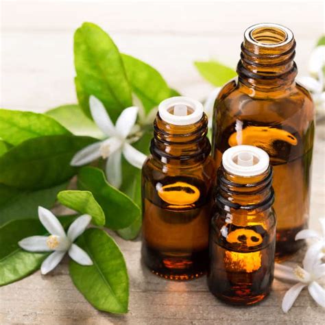 Neroli Essential Oil Benefits - the BEAUTIOUS