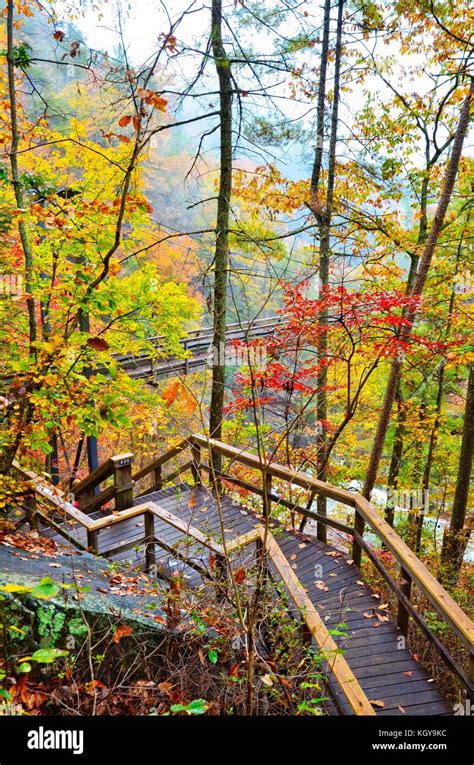 Steps and Bridge at Tallulah Falls Stock Photo - Alamy