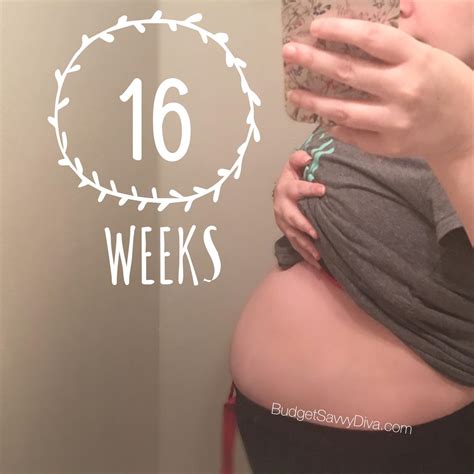 16 Weeks Pregnant With Twins Update - Budget Savvy Diva