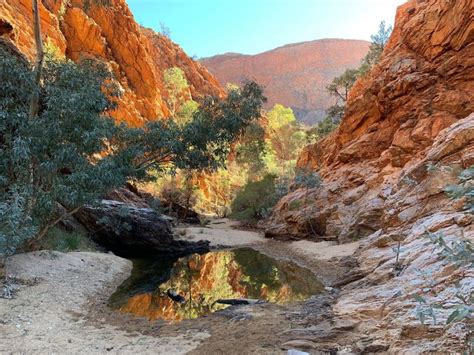 Explore the Stunning Larapinta Trail in Alice Springs