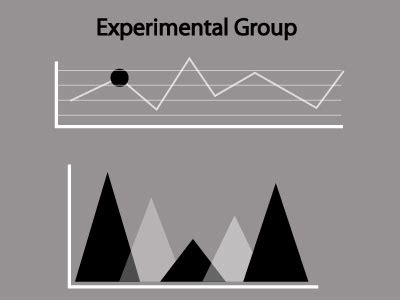 Experimental Group Definition and Explanation