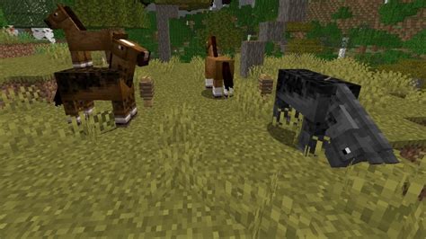 Minecraft: How to Tame a Horse | The Nerd Stash