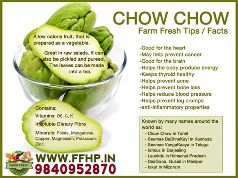 Health Benefits of Chow Chow! Health Snacks, Health Eating, Health And Nutrition, Health Food ...