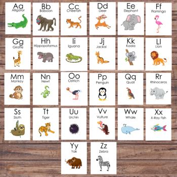 Zoo Animal Alphabet Cards Teaching Resources | TPT
