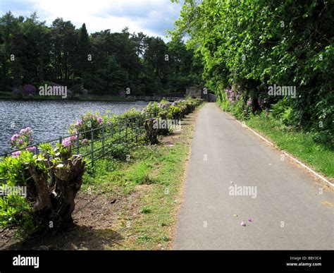 Pathway at Milngavie reservoir Stock Photo - Alamy