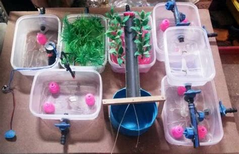 Drip Irrigation Model For Science Projects, No. of Model: 1 at Rs 2850 in Bengaluru